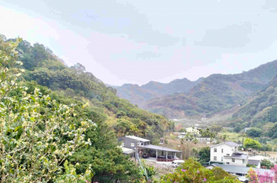 東勢-慈普山財神寺